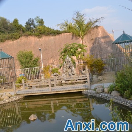 生物园的风景确实不错