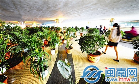防商贩占道经营，昆明城管出“绝招”1