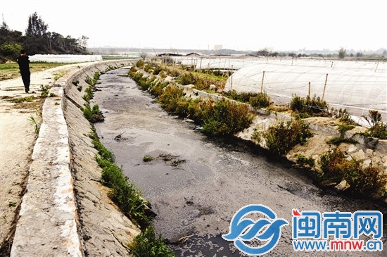 灌溉水渠如今又脏又臭，愁坏了两侧菜农