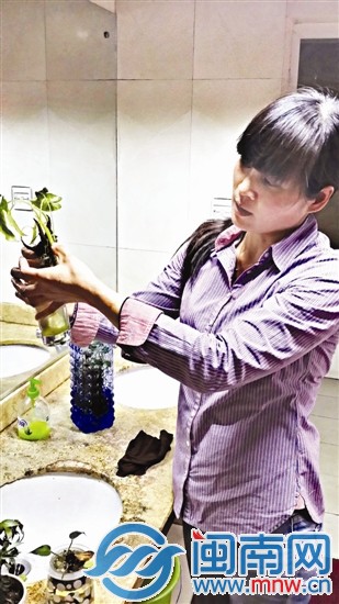 李小姐上门为陈小姐的花草号脉治病