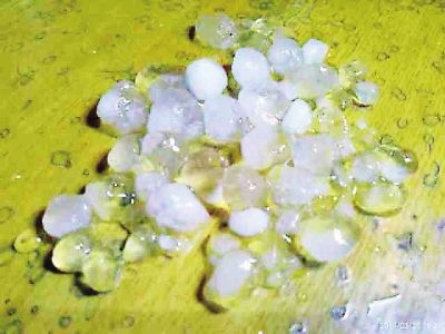 冰雹像啤酒瓶盖一样大