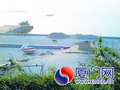 这些狗四处流窜伤人，成了岛上一害。