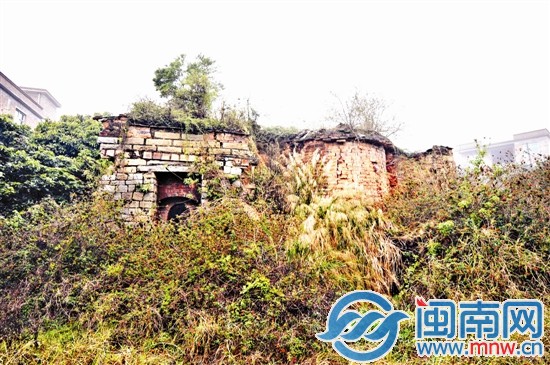 槐山村一处古窑，已经被草丛包围