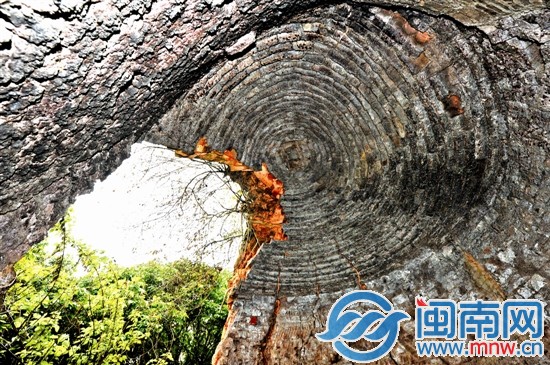 古窑窑顶内景