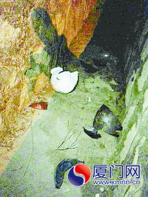 车祸现场遗留下疑似死者的安全帽