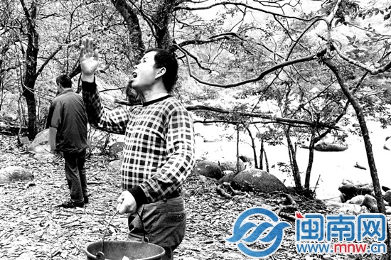 猴儿们，下山吃饭了饲养员喊猴子下山