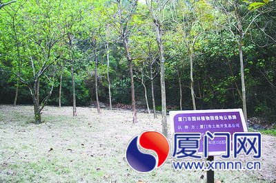 今年10家单位认养了500株树木，是开展认养活动以来 