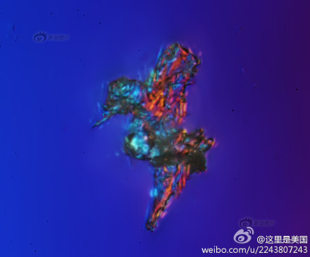 霾颗粒放大1000倍后1