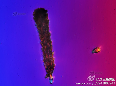 霾颗粒放大1000倍后4