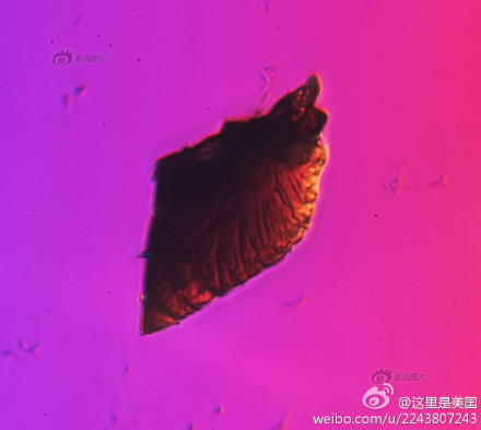 霾颗粒放大1000倍后3