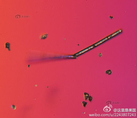 霾颗粒放大1000倍后5