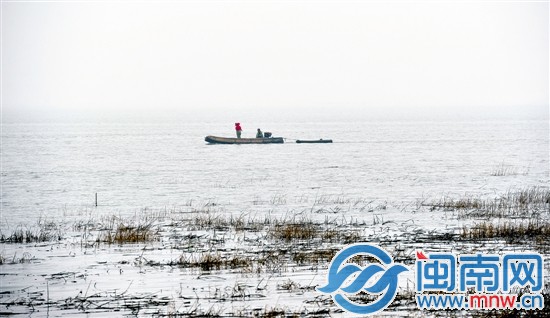 海边雾气蒙蒙，看不见远处建设中的泉州湾跨海大桥