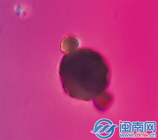 这就是霾1
