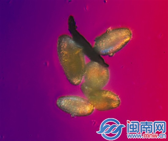 这就是霾2