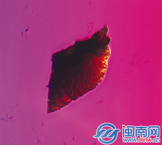 这就是霾4
