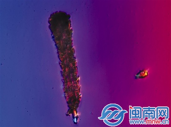 这就是霾3
