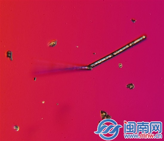这就是霾5