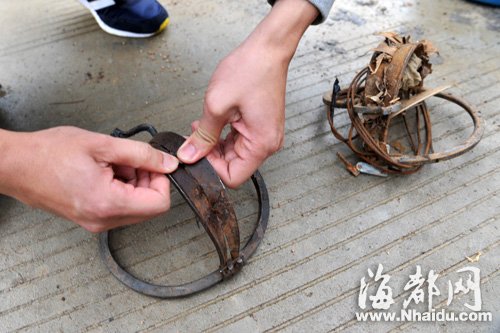 武夷山‘大圣’蒙难1