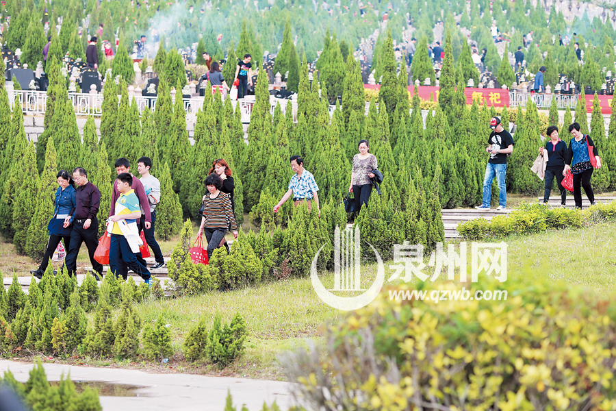昨日，宏福园迎来祭扫小高峰