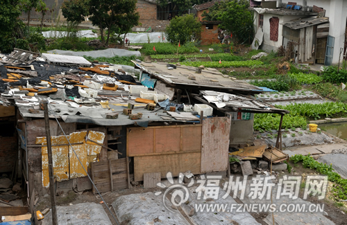 养猪场臭味飘散，周围物流员工受不了