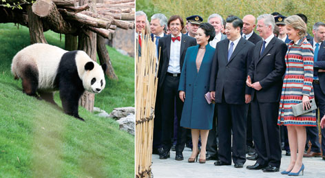 习近平比利时1