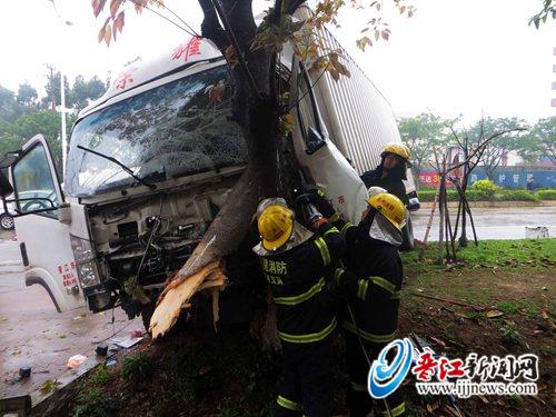 货车撞大树 司机被困
