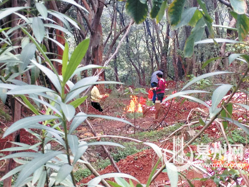 在清源山个别墓地，有市民直接在树林里烧纸。