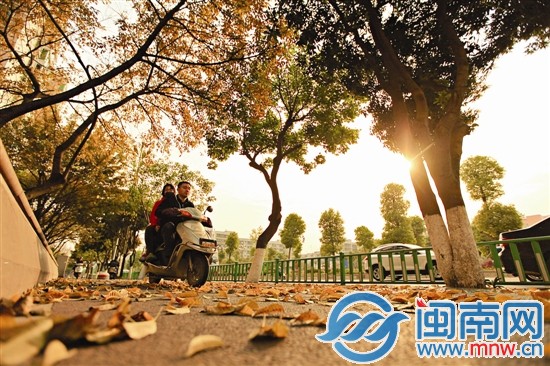 一抹阳光洒在地面