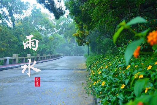 雨水