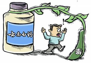 云南白药草乌