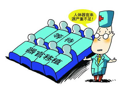 中国人体器官捐献网站开通