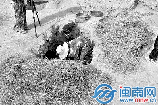 公元前的 小麦色金黄