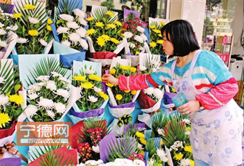 菊花价格上涨