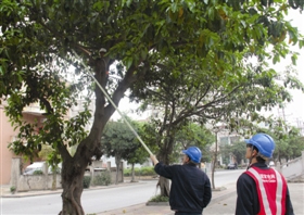 石狮市供电公司特巡线路  织牢清明护林“防火墙”