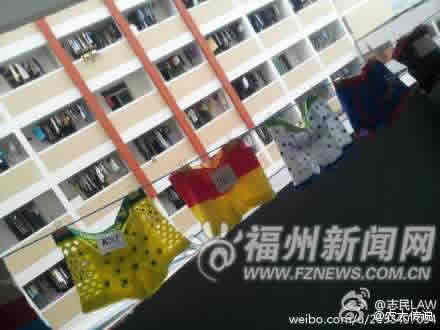 每条内裤都各有特色