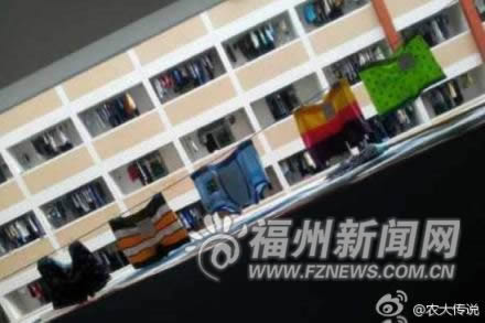 网友评论称“各有千秋”