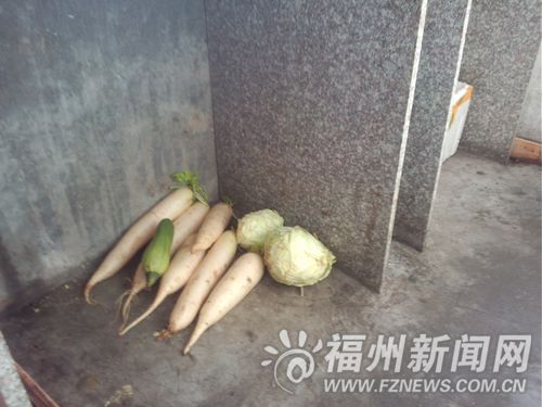 厨房里只有这些萝卜和白菜作为伙食