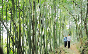 平和首部旅游微电影《心归平和》