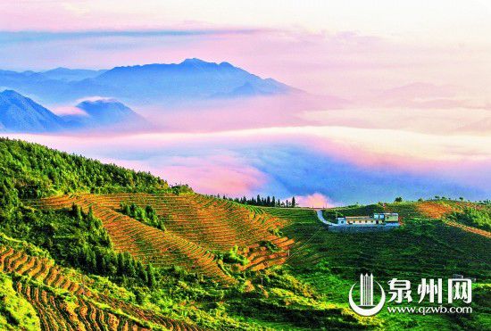 雪山终年云雾缭绕,半山腰的青翠茶园成了美丽景观。