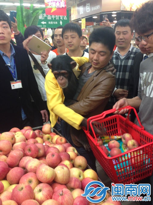 跟着教练起舞