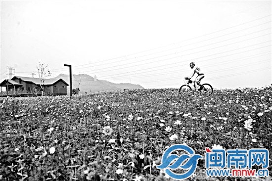 龙文区郊野公园建设了赛道，骑手们有了好去处