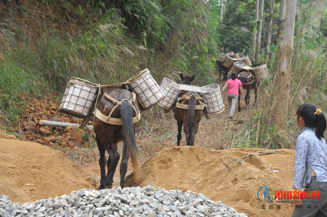 仙游：骡帮运输队助力高压电网铁塔施工