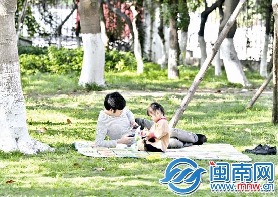 阳光明媚，市民在树阴下休憩（昨日16时许，摄于泉州 