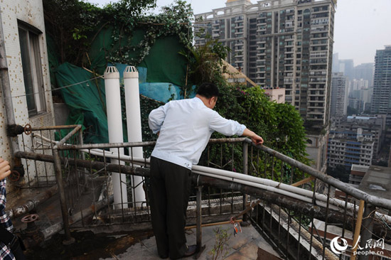 广州“原始森林”违建物2