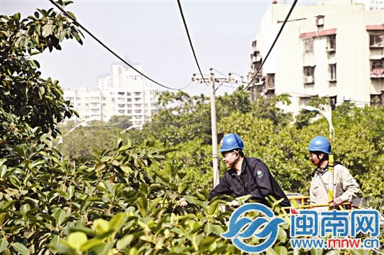 供电人员对高压线下影响电力线路安全的树木进行排查 