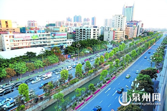 2014年4月拍摄的市区刺桐路