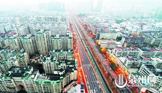 2012年2月拍摄的刺桐路绿化带