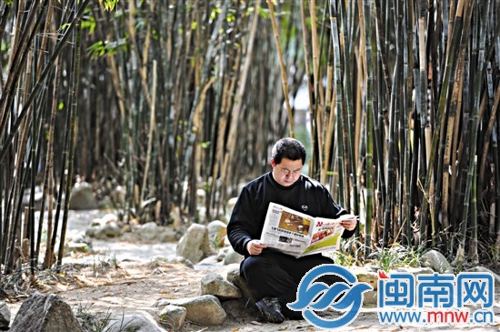 阳光竹林里看海都报