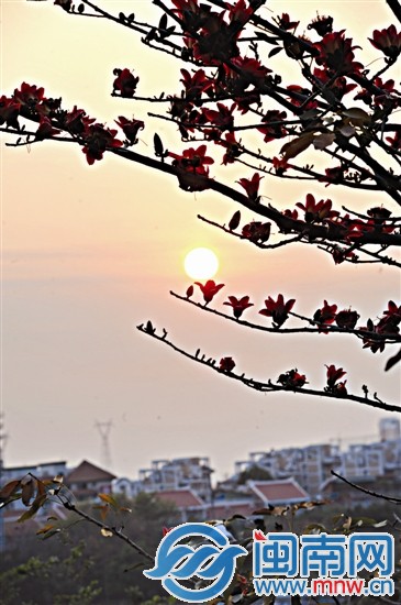 夕阳西下