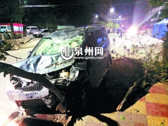 肇事面包车最终顶撞到一棵绿化树后停下来